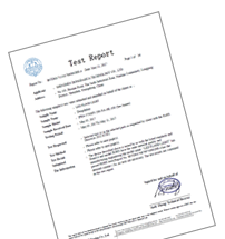 RoHS Test Report